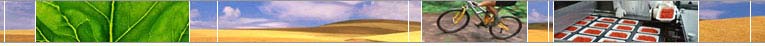 Random images that represent what the USDA eAuthentication offers